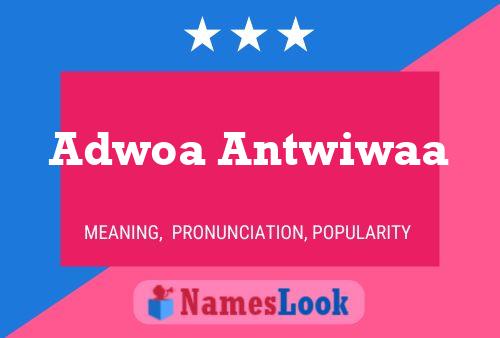 Adwoa Antwiwaa பெயர் போஸ்டர்