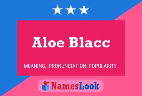 Aloe Blacc பெயர் போஸ்டர்