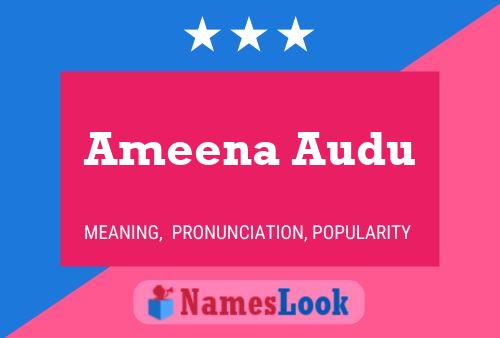 Ameena Audu பெயர் போஸ்டர்