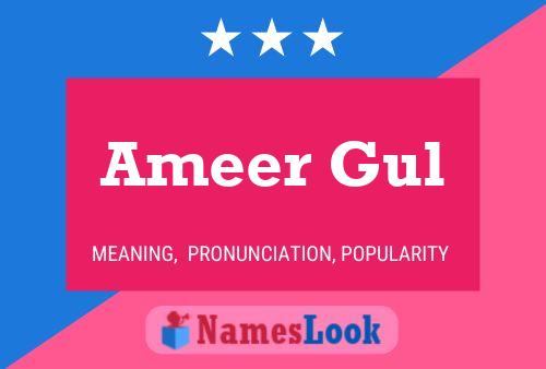 Ameer Gul பெயர் போஸ்டர்