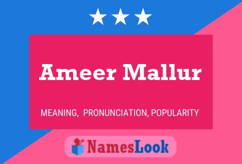 Ameer Mallur பெயர் போஸ்டர்