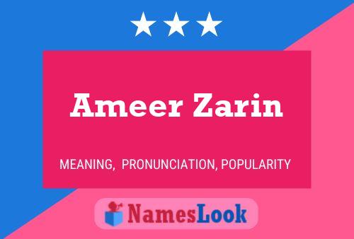 Ameer Zarin பெயர் போஸ்டர்