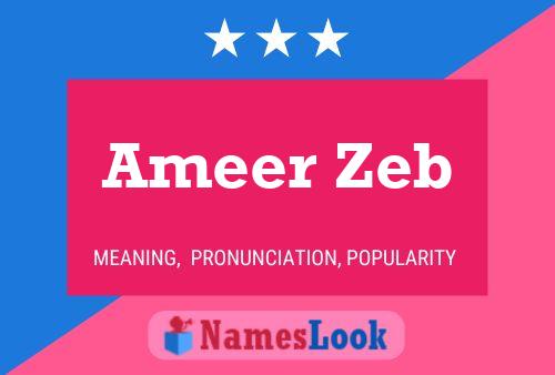 Ameer Zeb பெயர் போஸ்டர்