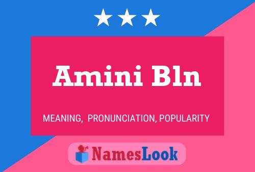 Amini Bln பெயர் போஸ்டர்