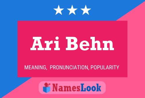 Ari Behn பெயர் போஸ்டர்