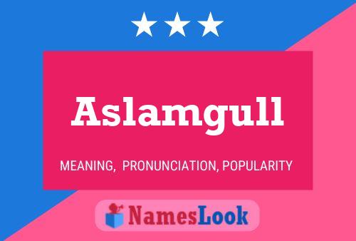 Aslamgull பெயர் போஸ்டர்