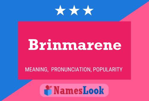 Brinmarene பெயர் போஸ்டர்