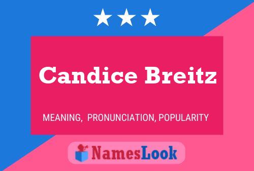 Candice Breitz பெயர் போஸ்டர்