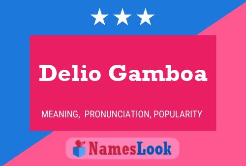 Delio Gamboa பெயர் போஸ்டர்