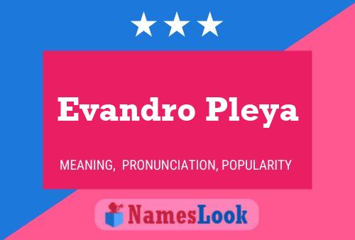 Evandro Pleya பெயர் போஸ்டர்