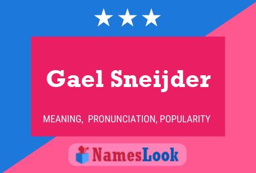 Gael Sneijder பெயர் போஸ்டர்