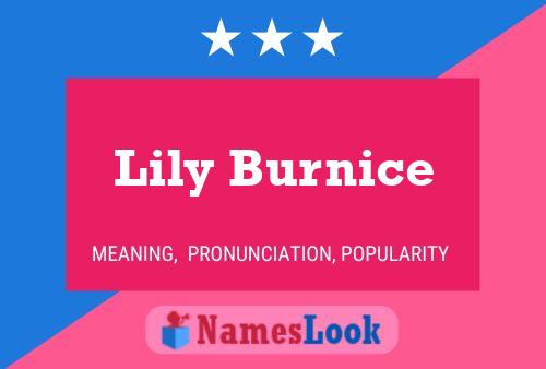 Lily Burnice பெயர் போஸ்டர்