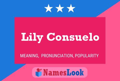 Lily Consuelo பெயர் போஸ்டர்