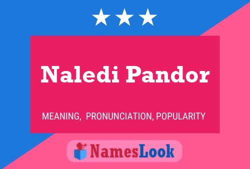 Naledi Pandor பெயர் போஸ்டர்