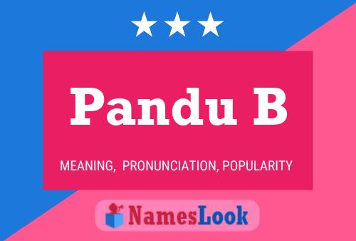 Pandu B பெயர் போஸ்டர்