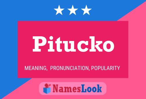 Pitucko பெயர் போஸ்டர்