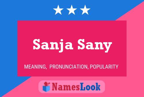 Sanja Sany பெயர் போஸ்டர்