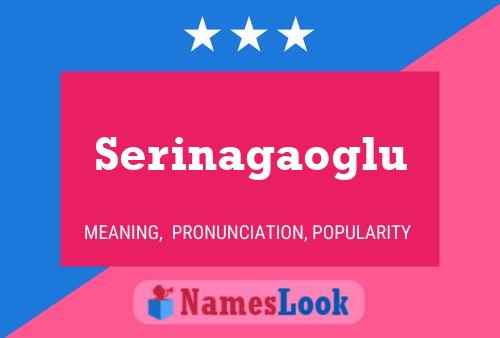 Serinagaoglu பெயர் போஸ்டர்