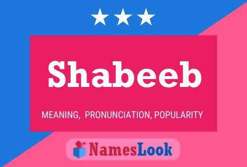 Shabeeb பெயர் போஸ்டர்