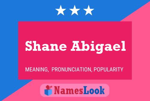 Shane Abigael பெயர் போஸ்டர்